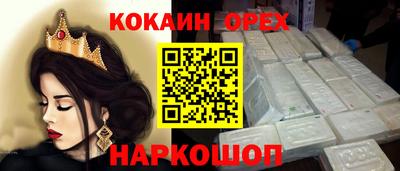 дмт Гай