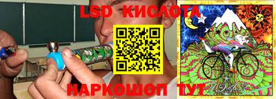 дмт Гай