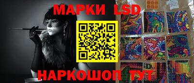 кокс Гатчина